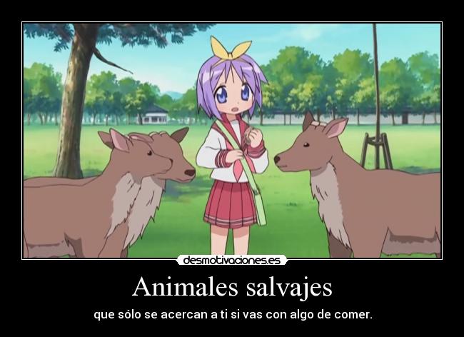 Animales salvajes -