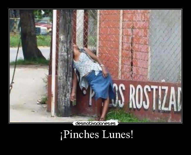 ¡Pinches Lunes! - 