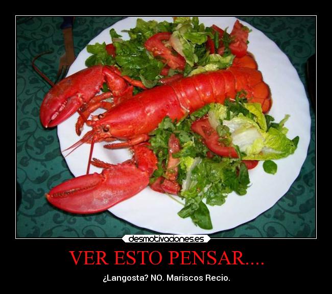 VER ESTO PENSAR.... - 