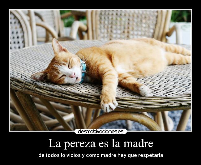 La pereza es la madre -