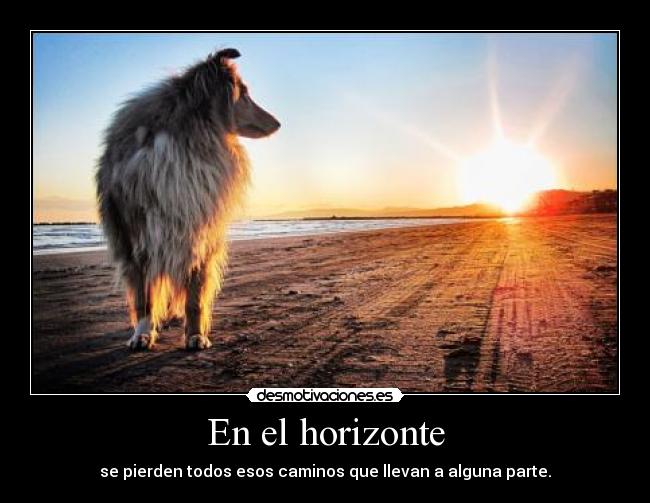 carteles explorador desmotivaciones