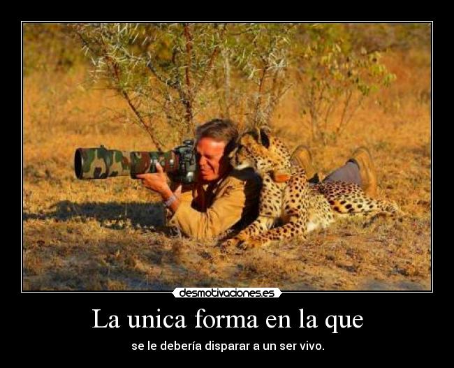 carteles protecion animal desmotivaciones