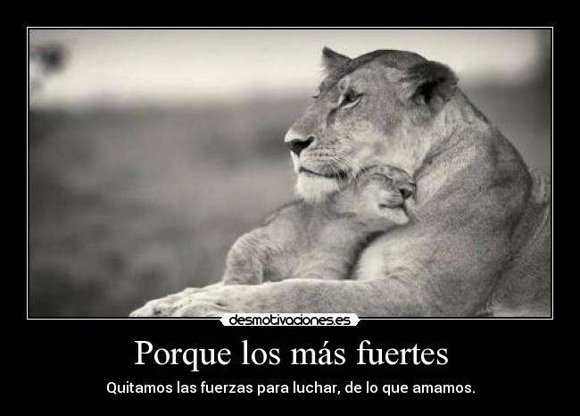 Porque los más fuertes - 