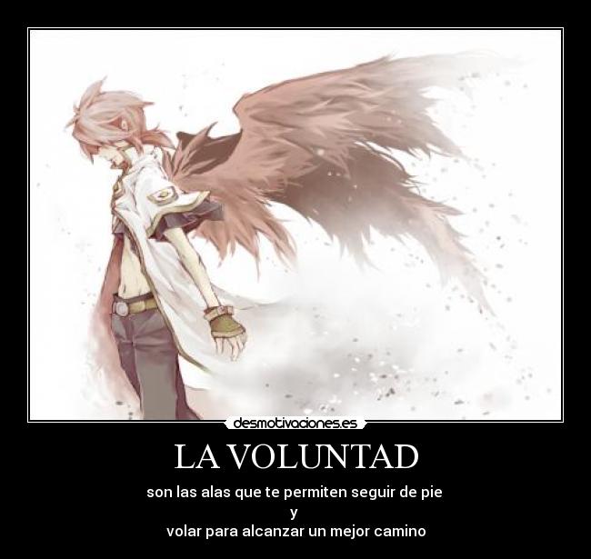 LA VOLUNTAD -