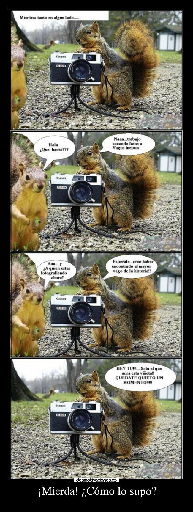 carteles luvmaker12 desmofunny fotos ardillas desmotivaciones