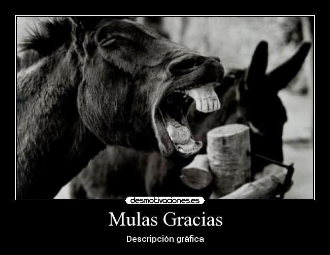 carteles gracias desmotivaciones