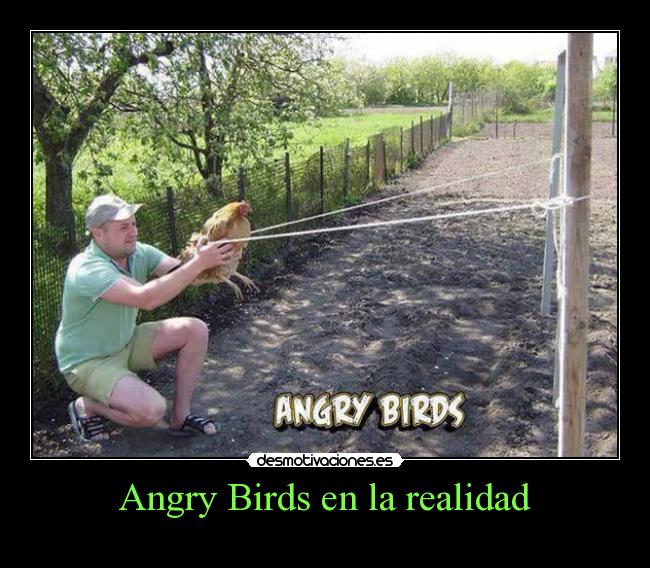 Angry Birds en la realidad - 