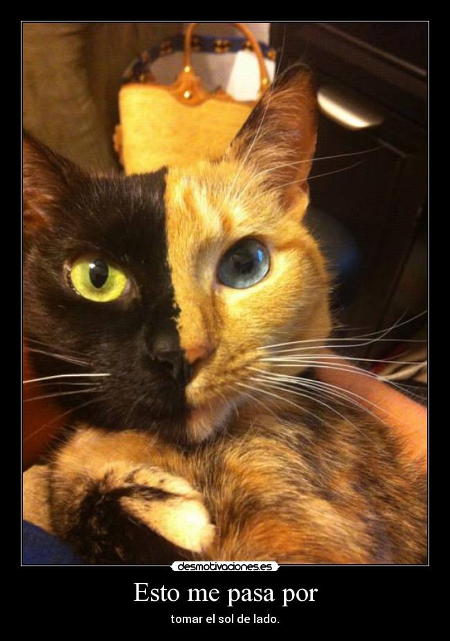 Esto me pasa por - 