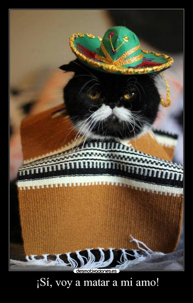 ¡Sí, voy a matar a mi amo! - 