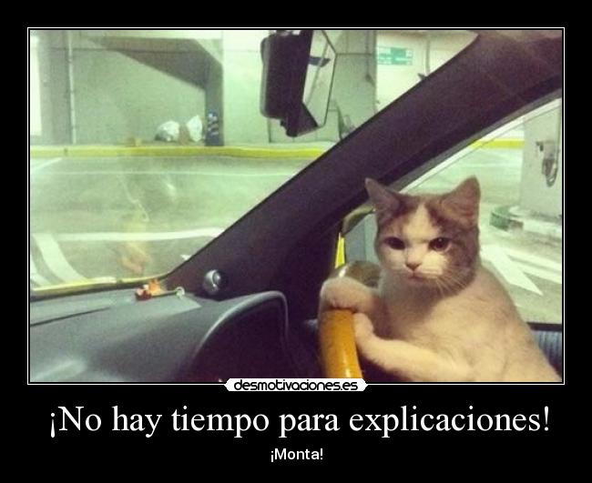 ¡No hay tiempo para explicaciones! -