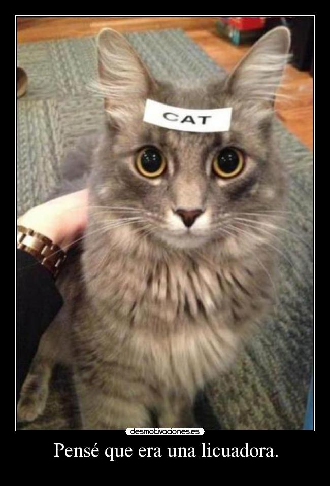 Pensé que era una licuadora. - 
