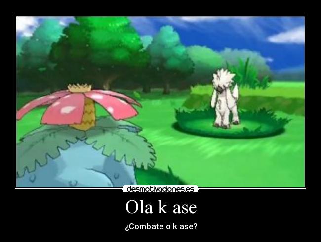 Ola k ase - ¿Combate o k ase?