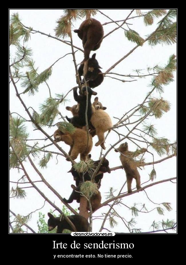 carteles breathe breathe breathe breathe breathe breathe breathe breathe breathe breathe atojsoacillobsknaht desmotivaciones