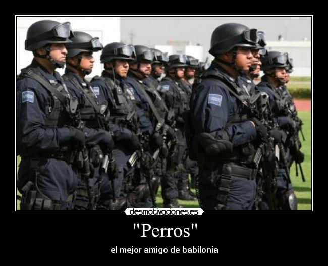 Perros - el mejor amigo de babilonia