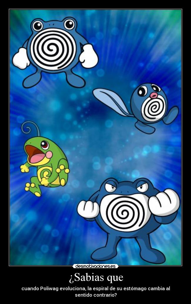 ¿Sabias que - cuando Poliwag evoluciona, la espiral de su estómago cambia al sentido contrario?