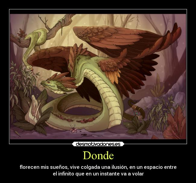 Donde - 