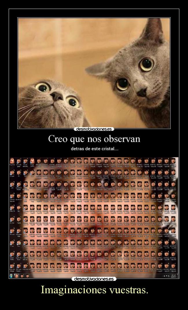Imaginaciones vuestras. - 