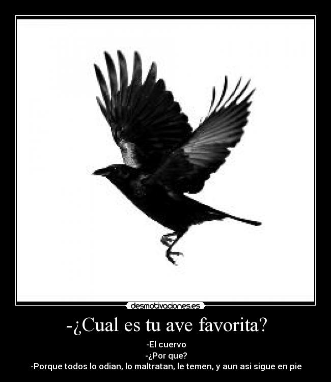 -¿Cual es tu ave favorita? -