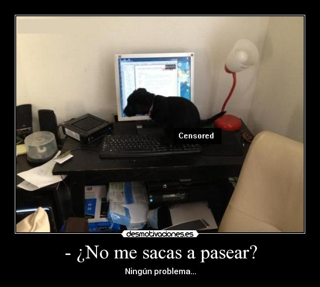 - ¿No me sacas a pasear? - Ningún problema...