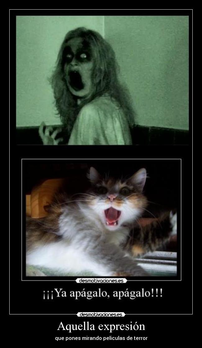 Aquella expresión - que pones mirando peliculas de terror