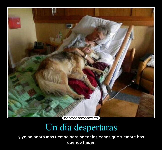 Un dia despertaras - 