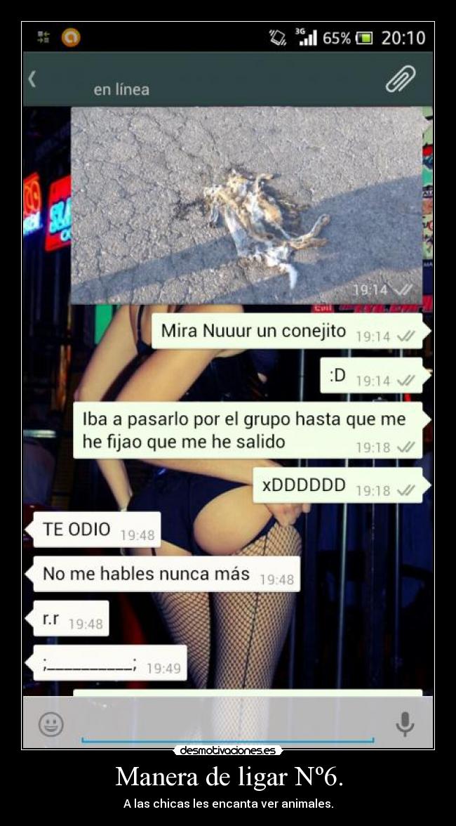 Manera de ligar Nº6. - A las chicas les encanta ver animales.