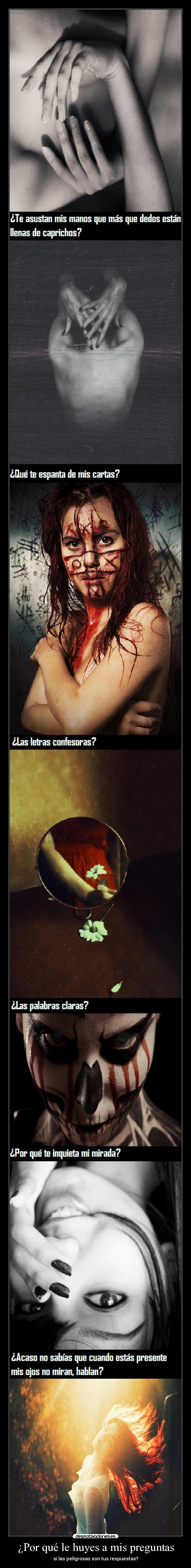 carteles amm club los poetas muertos varios desmotivaciones