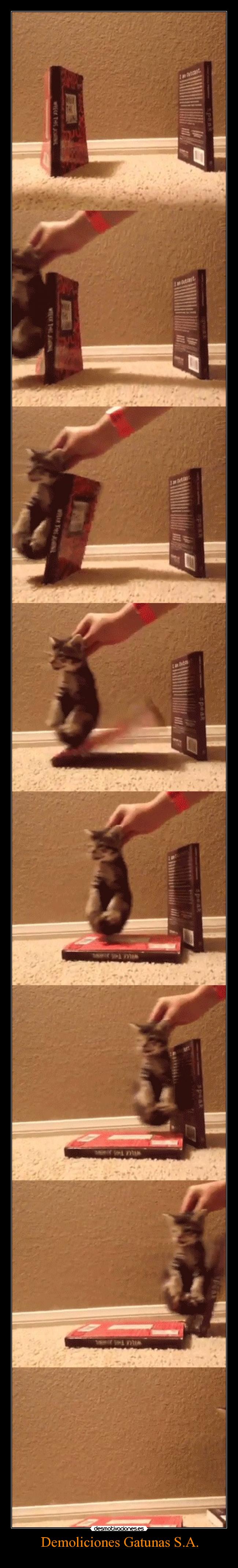 Demoliciones Gatunas S.A. -