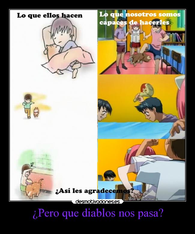 ¿Pero que diablos nos pasa? -
