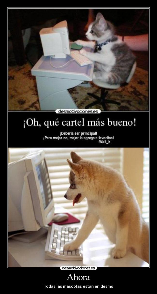 carteles mascotas desmotivadoras desmotivaciones