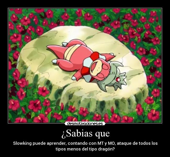 ¿Sabias que - Slowking puede aprender, contando con MT y MO, ataque de todos los
tipos menos del tipo dragón?