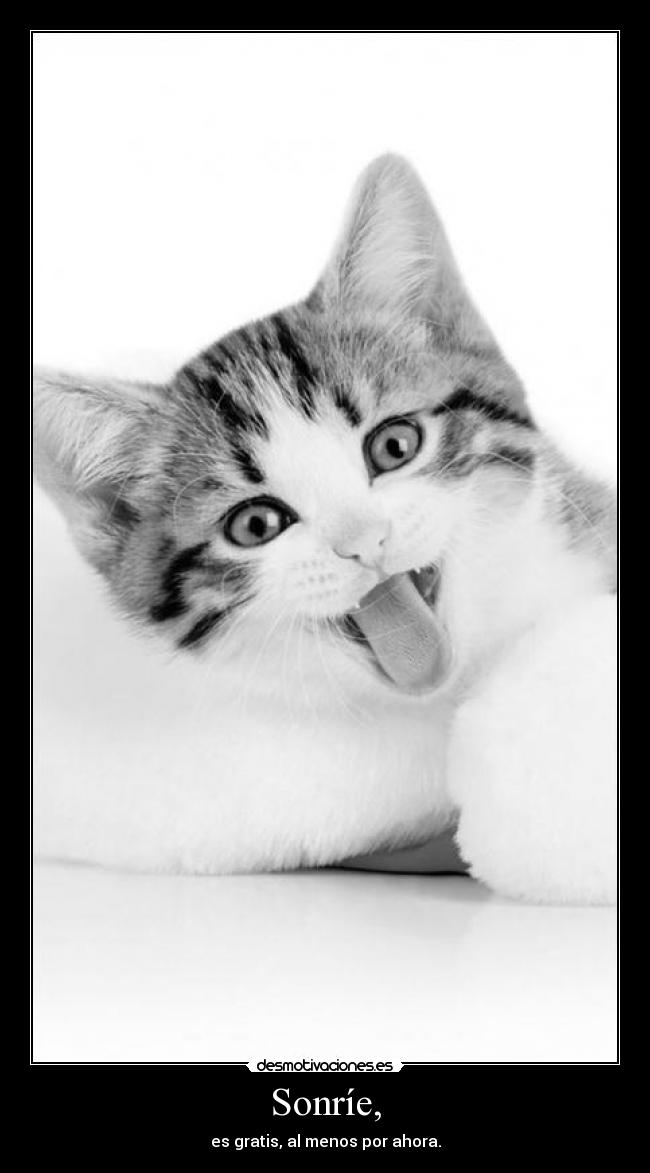 carteles telyg ejercitodemar yahoramevuelvopokehipster desmotivaciones