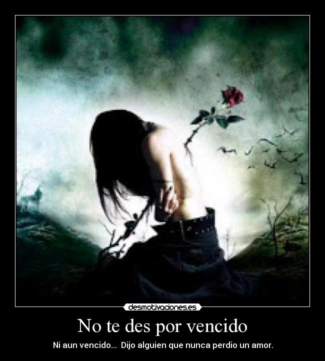 No te des por vencido - Ni aun vencido... Dijo alguien que nunca perdio un amor.