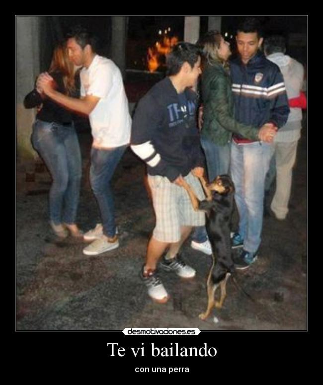 carteles humor desmotivaciones