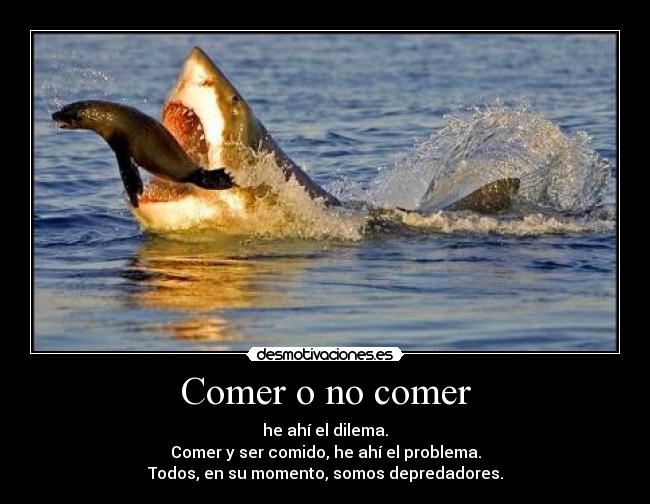 Comer o no comer - he ahí el dilema.
Comer y ser comido, he ahí el problema.
Todos, en su momento, somos depredadores.