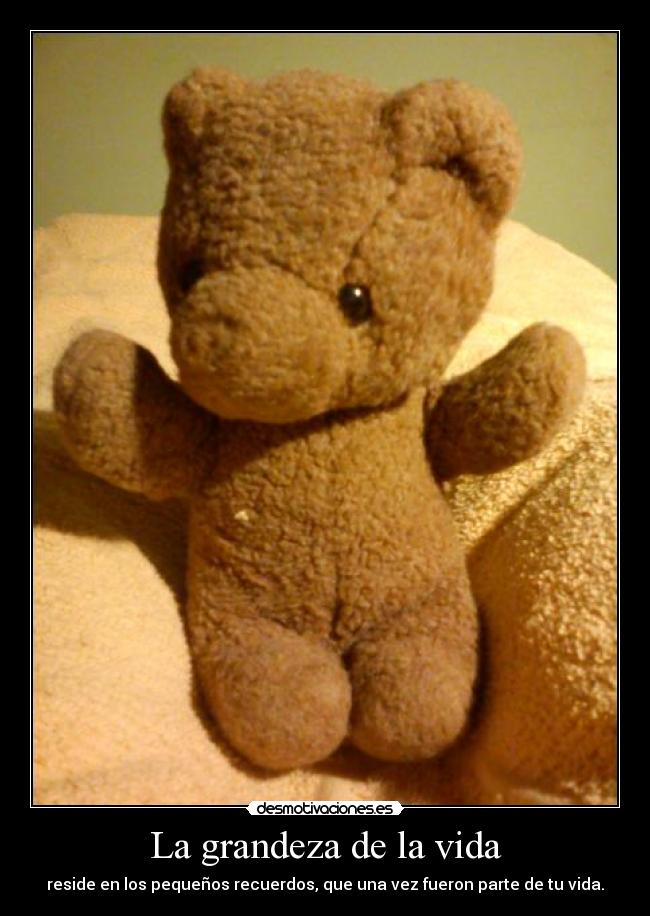 carteles vida tenyg ejercitodemar yahoramevuelvopokehipster bobybobitobobo desmotivaciones