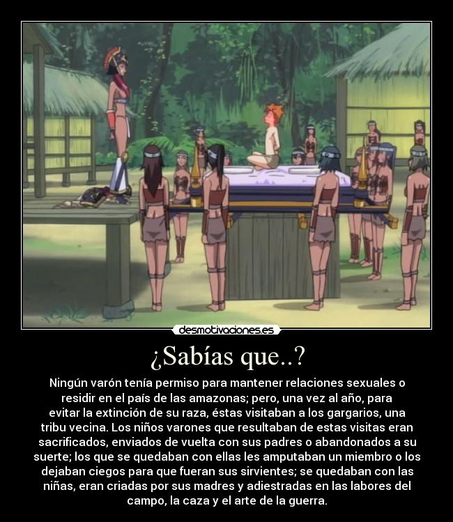 ¿Sabías que..? - Ningún varón tenía permiso para mantener relaciones sexuales o
residir en el país de las amazonas; pero, una vez al año, para
evitar la extinción de su raza, éstas visitaban a los gargarios, una
tribu vecina. Los niños varones que resultaban de estas visitas eran
sacrificados, enviados de vuelta con sus padres o abandonados a su
suerte; los que se quedaban con ellas les amputaban un miembro o los
dejaban ciegos para que fueran sus sirvientes; se quedaban con las
niñas, eran criadas por sus madres y adiestradas en las labores del
campo, la caza y el arte de la guerra.