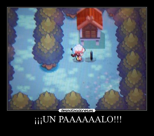 ¡¡¡UN PAAAAAALO!!! - 