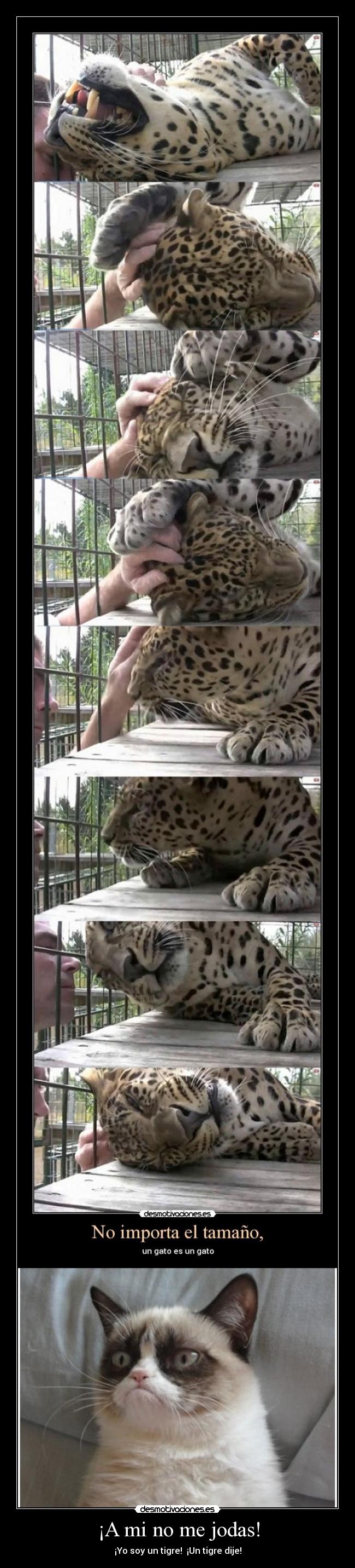 ¡A mi no me jodas! -