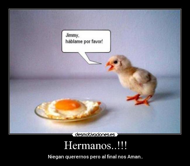 carteles los hermanos desmotivaciones