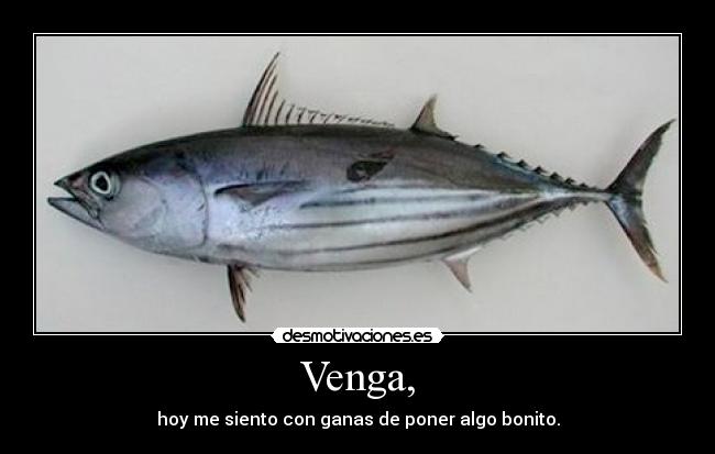 Venga, - hoy me siento con ganas de poner algo bonito.