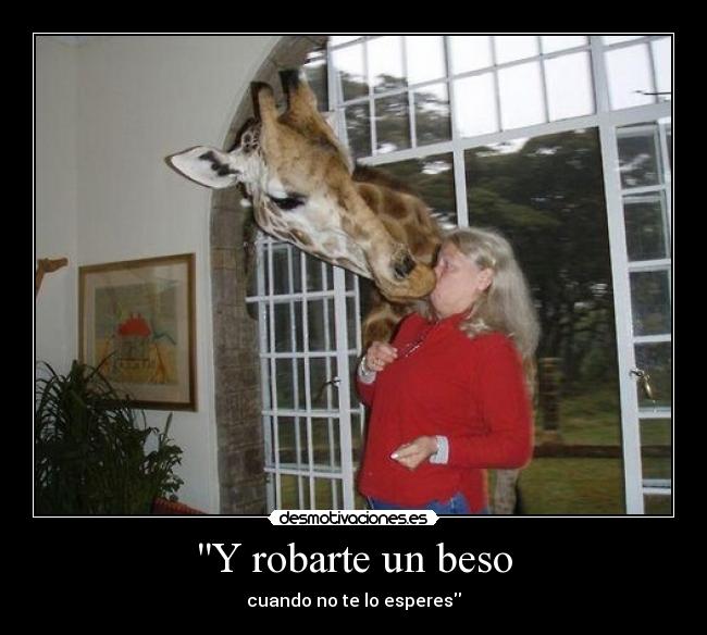 Y robarte un beso - 