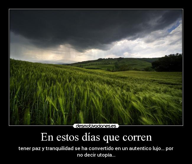 En estos días que corren - tener paz y tranquilidad se ha convertido en un autentico lujo... por
no decir utopía...