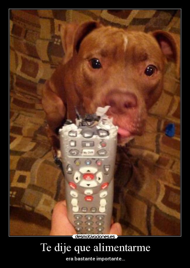 Te dije que alimentarme - 