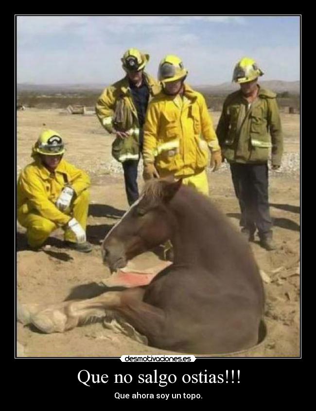 Que no salgo ostias!!! - Que ahora soy un topo.