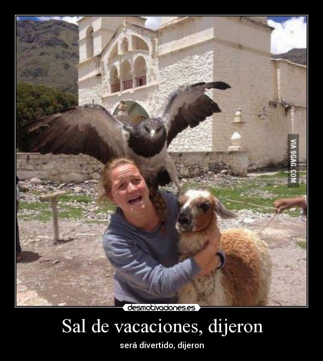 Sal de vacaciones, dijeron - será divertido, dijeron