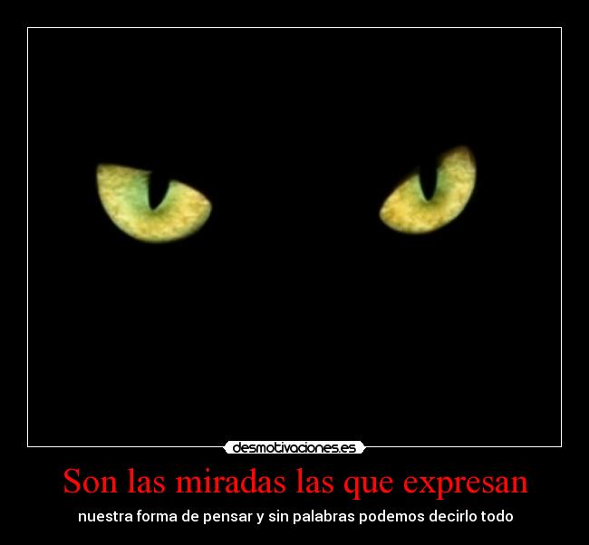 Son las miradas las que expresan - nuestra forma de pensar y sin palabras podemos decirlo todo