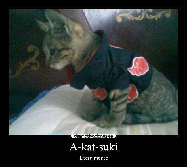 A-kat-suki - Literalmente