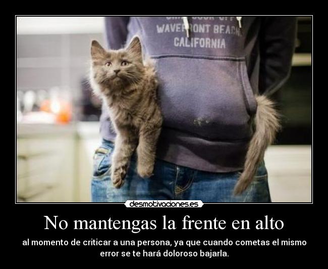 No mantengas la frente en alto -