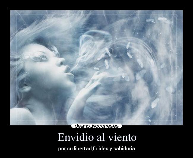 Envidio al viento - por su libertad,fluides y sabiduria